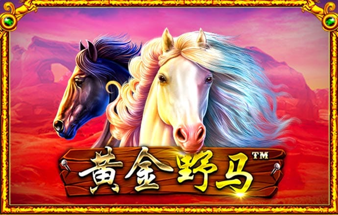 优发体育app 九州体育官方网站入口