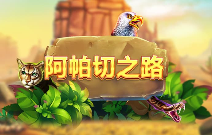 BOB体育综合官方APP下载